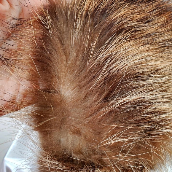 Real fur headband - Picture 7 of 11